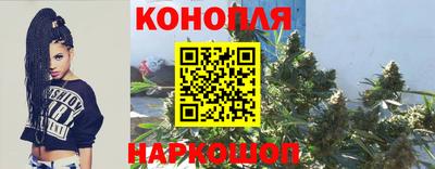прущие грибы Комсомольск-на-Амуре