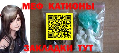 прущие грибы Комсомольск-на-Амуре