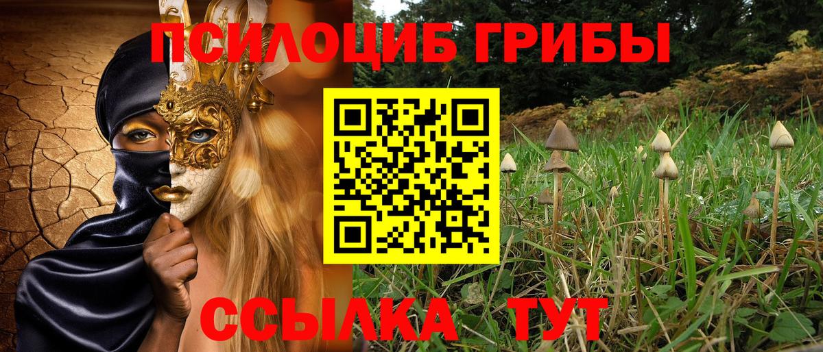 Галлюциногенные грибы мухоморы Кохма