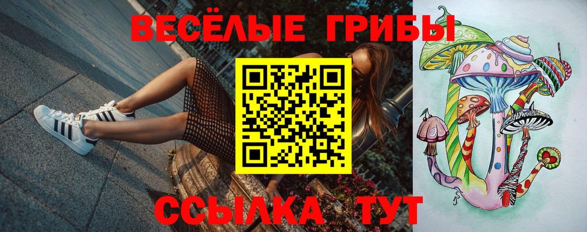 Псилоцибиновые грибы MAGIC MUSHROOMS  Галлюциногенные грибы ЛСД  Вход с VPN  Кохма 