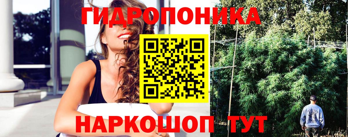 Каннабис LSD WEED  МАРИХУАНА планчик  Шишки марихуана Amnesia  Кохма  Шишки марихуана сатива  Вход с VPN 