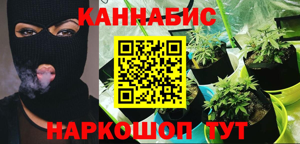 МАРИХУАНА Amnesia Кохма